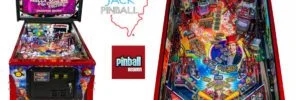 Willy Wonka Pinball Machine – Collectors Edition
