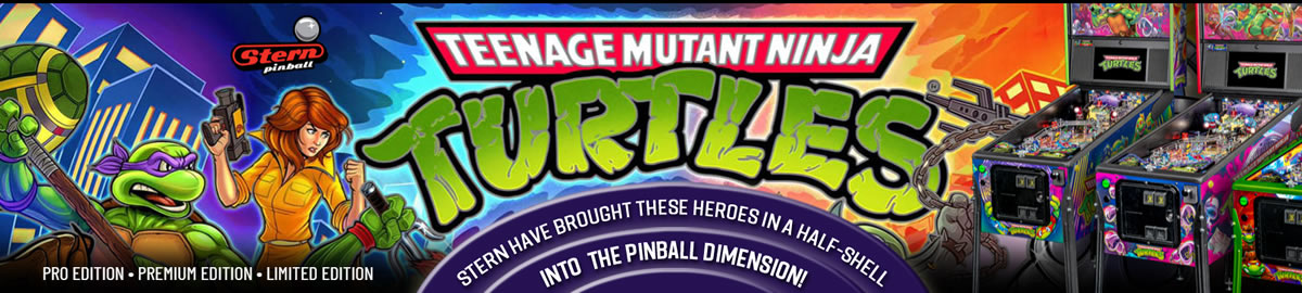 Teenage Mutant Ninja Turtles Pinball Machine