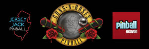 Guns N Roses Limited Edition
