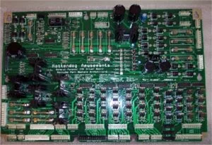 Rottendog WBD089